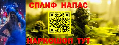 дмт Можга