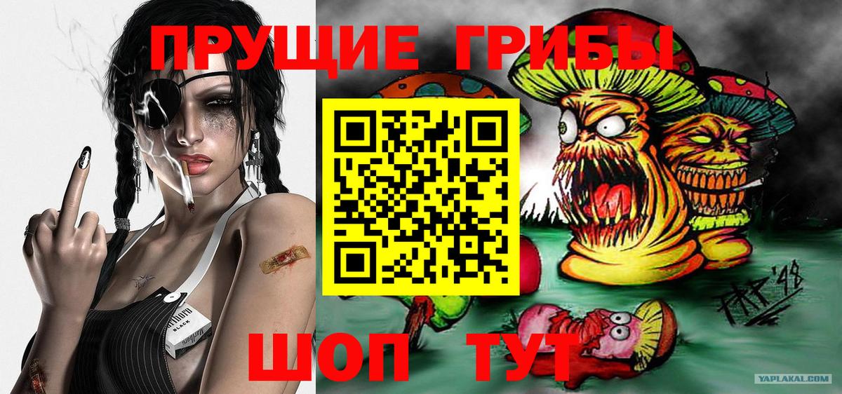 Псилоцибиновые грибы прущие грибы Сургут