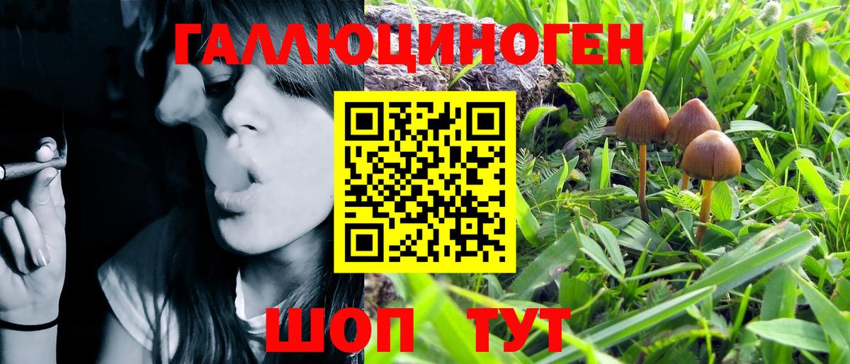 Галлюциногенные грибы MAGIC MUSHROOMS  Псилоцибиновые грибы Magic Shrooms  где купить наркоту  Сургут  Вход с VPN 