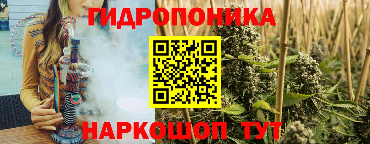 Шишки марихуана White Widow Сургут